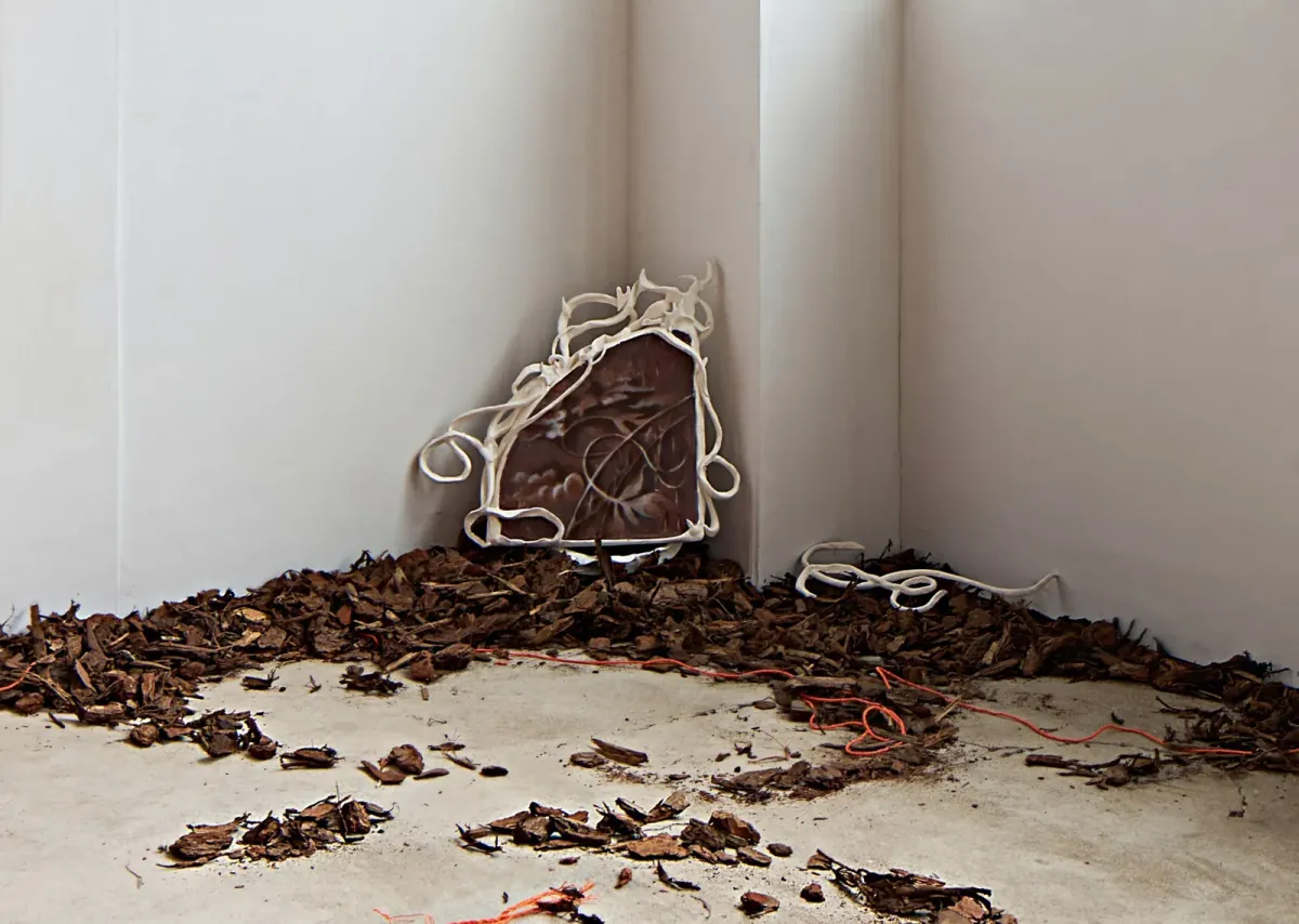 Tangerine Reverie installation view 9