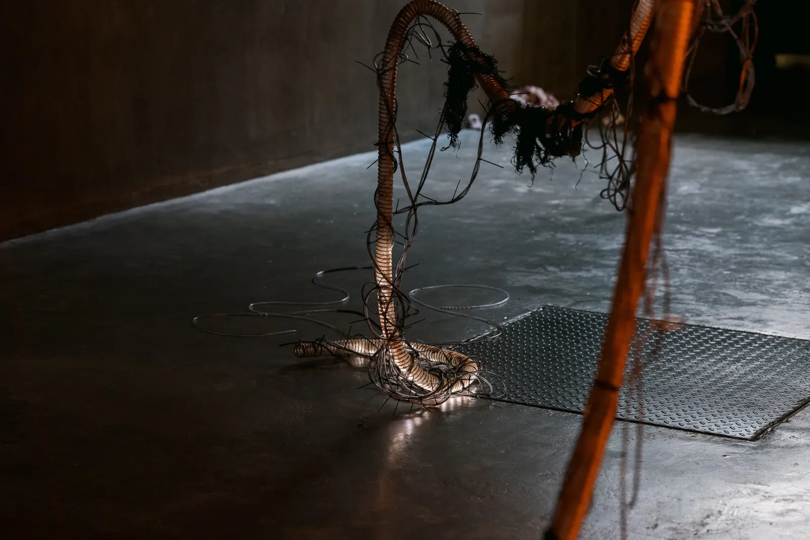 The Creeper in the Dusk installation view 11