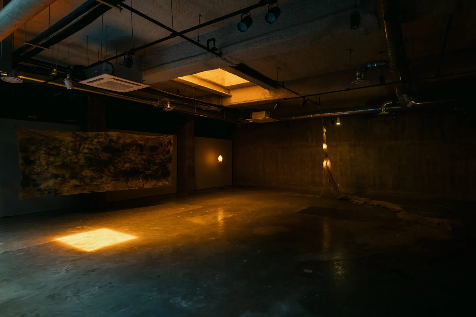 The Creeper in the Dusk installation view 7