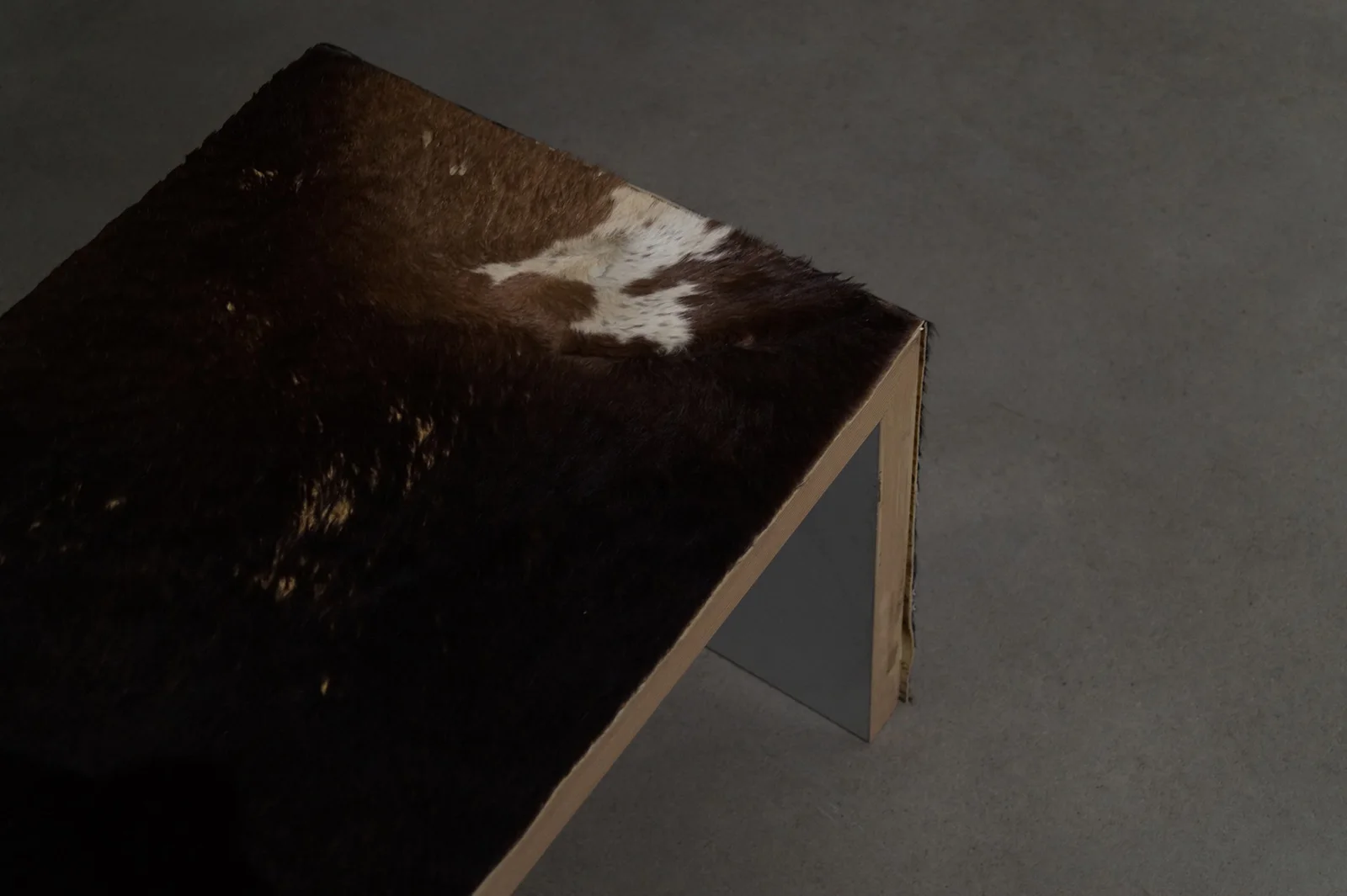 The Solemnity of the Repulsive installation view 3