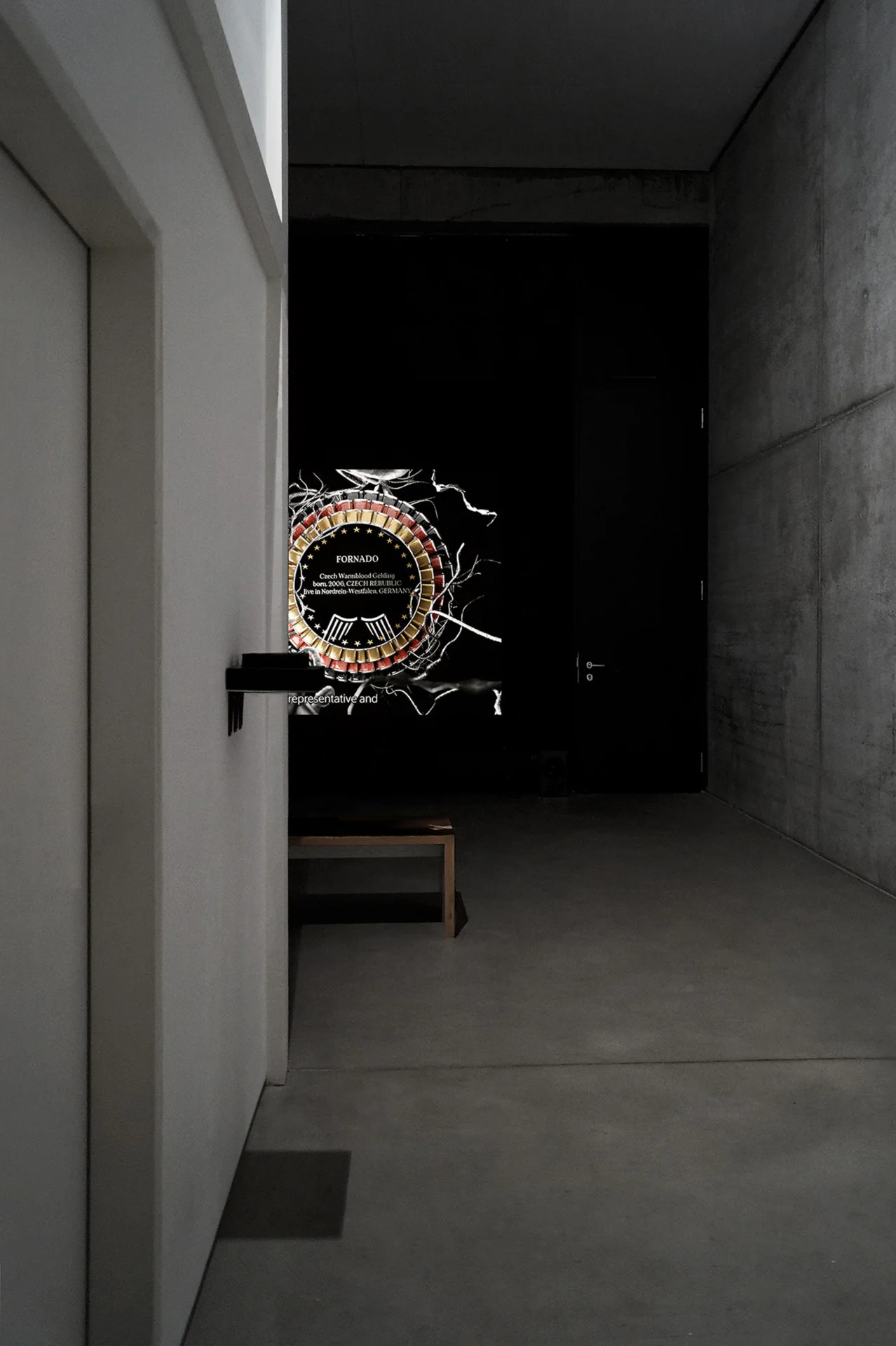 The Solemnity of the Repulsive installation view 8