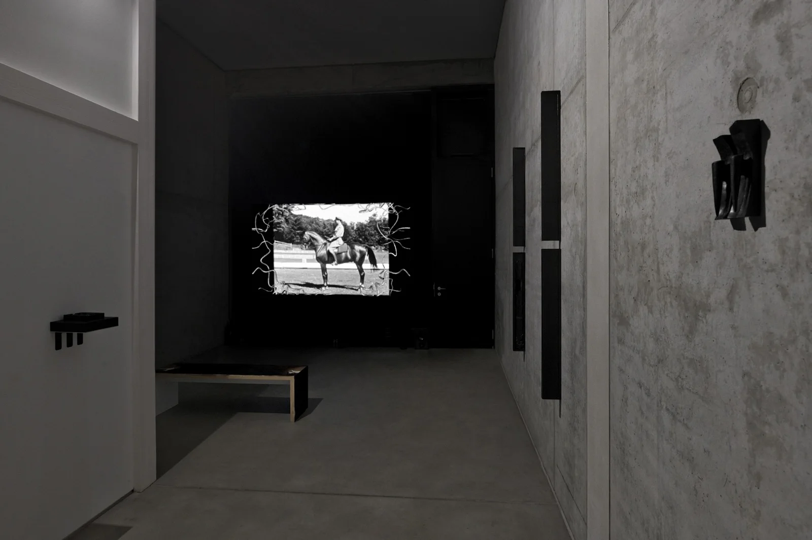 The Solemnity of the Repulsive installation view 9