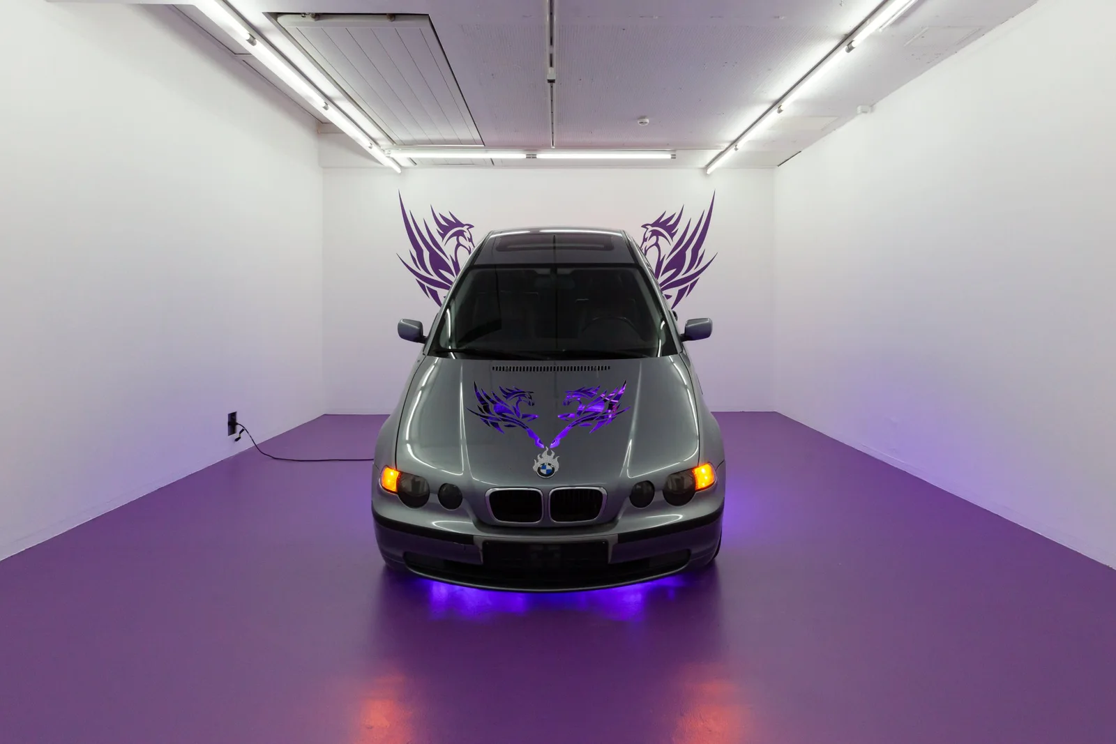 THE SPIRIT IS WILLING BUT THE FLESH IS WEAK exhibition view